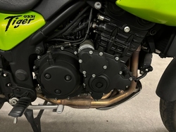Triumph Tiger 955